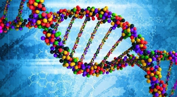 Resultado de imagen para biologia genetica